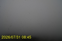 Img20260731_084522.jpg