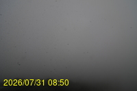 Img20260731_085022.jpg