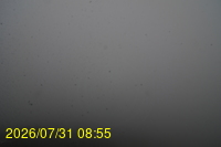 Img20260731_085522.jpg