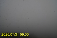 Img20260731_090022.jpg