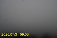Img20260731_090522.jpg