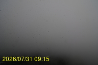 Img20260731_091522.jpg