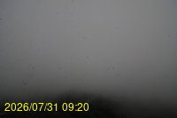 Img20260731_092022.jpg