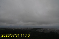 Img20260731_114023.jpg