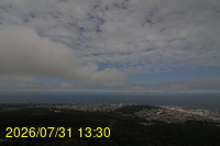 Img20260731_133023.jpg