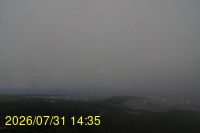Img20260731_143523.jpg