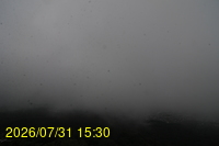 Img20260731_153024.jpg