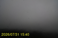 Img20260731_154024.jpg