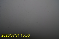 Img20260731_155024.jpg