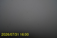 Img20260731_160024.jpg