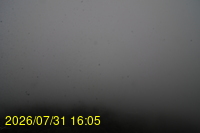 Img20260731_160524.jpg