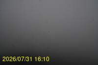 Img20260731_161024.jpg