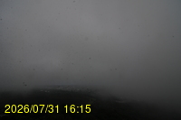Img20260731_161524.jpg