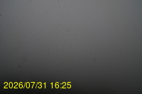 Img20260731_162524.jpg