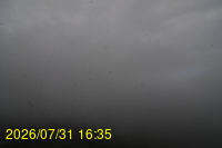 Img20260731_163524.jpg