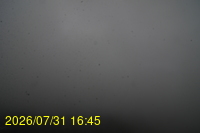Img20260731_164524.jpg