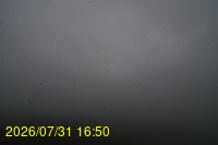 Img20260731_165024.jpg