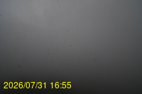 Img20260731_165524.jpg