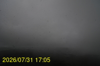 Img20260731_170524.jpg