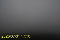 Img20260731_171024.jpg