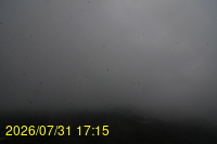 Img20260731_171524.jpg