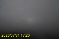 Img20260731_172024.jpg