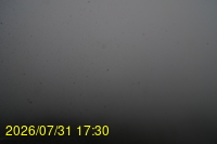 Img20260731_173024.jpg