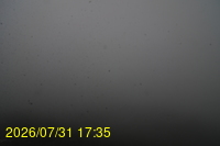 Img20260731_173524.jpg