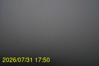 Img20260731_175024.jpg