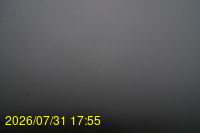 Img20260731_175524.jpg