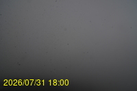Img20260731_180024.jpg