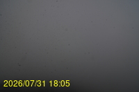 Img20260731_180524.jpg