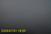 Img20260731_182024.jpg