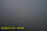 Img20260731_183024.jpg