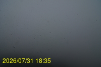 Img20260731_183525.jpg