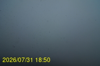 Img20260731_185025.jpg