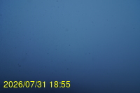 Img20260731_185525.jpg