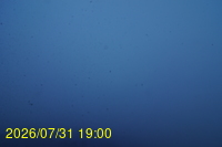 Img20260731_190025.jpg