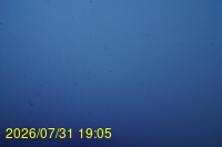 Img20260731_190525.jpg