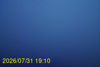 Img20260731_191025.jpg