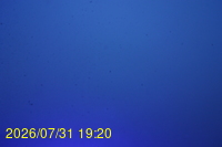 Img20260731_192025.jpg