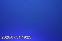 Img20260731_192525.jpg