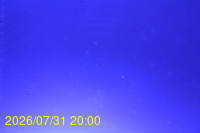 Img20260731_200025.jpg