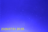 Img20260731_200525.jpg