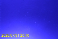 Img20260731_201025.jpg