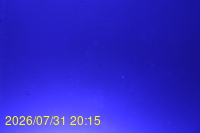 Img20260731_201525.jpg