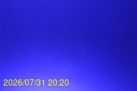 Img20260731_202025.jpg