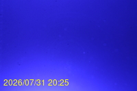 Img20260731_202525.jpg