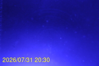 Img20260731_203025.jpg