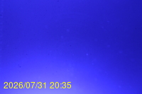 Img20260731_203525.jpg